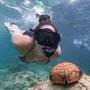Горящие туры в отель Nomad Beach Resort - 2