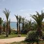Горящие туры в отель Ascos Coral Beach - 5