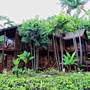 Горящие туры в отель Sutera Sanctuary Lodges At Manukan Island - 6