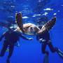 Горящие туры в отель Sun Siyam Vilu Reef - 6