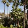Горящие туры в отель Les Jardins De La Medina - 5