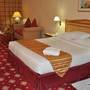 Горящие туры в отель TOP Grand Continental Flamingo Hotel - 4