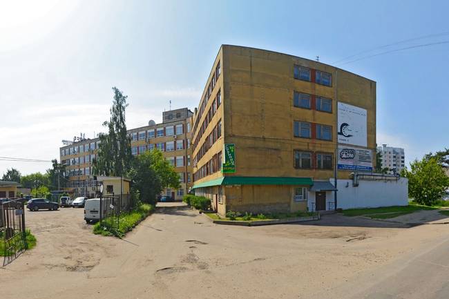 Верба