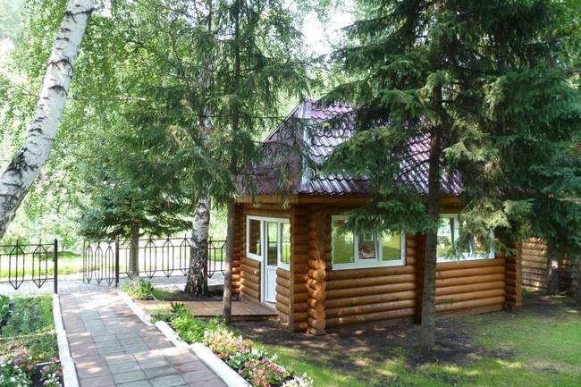 Старые Друзья