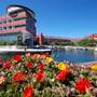 Горящие туры в отель Histrion Hotel - 5