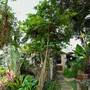 Горящие туры в отель Sandalwood Luxury Villas - 1