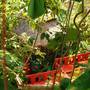 Горящие туры в отель Varinda Garden Resort - 6