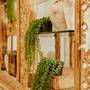 Горящие туры в отель Baraza Resort & Spa - 1