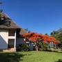 Горящие туры в отель Blue Bay Beach Resort - 2