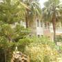 Горящие туры в отель Club Gunes Garden - 3