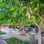 Горящие туры в отель Gardenia Beach - 5