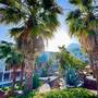 Горящие туры в отель Green Forest Holiday Village - 6