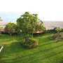 Горящие туры в отель Gypsophila Holiday Village - 6