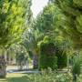 Горящие туры в отель Anadolu Hotels Didim Club - 5