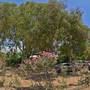 Горящие туры в отель Selinus Beach Club - 1