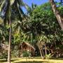 Горящие туры в отель Sangat Island Dive Resort - 2