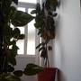 Горящие туры в отель Apartments Makarska - 1