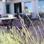 Горящие туры в отель Villa Diana Apt - 6