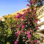 Горящие туры в отель Villa Antonela - 6