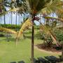 Горящие туры в отель Palm Village - 6