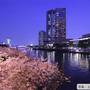 Горящие туры в отель Imperial Hotel Osaka - 3