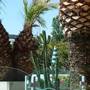 Горящие туры в отель Hotel Cormoran - 5
