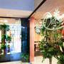 Горящие туры в отель Hotel Flora Residence - 6
