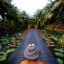 Горящие туры в отель Anantara Bophut Resort & Spa - 4