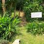Горящие туры в отель The Palace Hotel Kota Kinabalu - 3