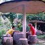 Горящие туры в отель Sepilok Nature Resort (Sandakan/Sabah) - 4