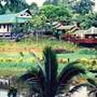 Горящие туры в отель Sepilok Nature Resort (Sandakan/Sabah) - 3