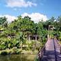 Горящие туры в отель Sepilok Nature Resort (Sandakan/Sabah) - 2