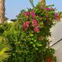Горящие туры в отель Golden Dream Apartments - 4