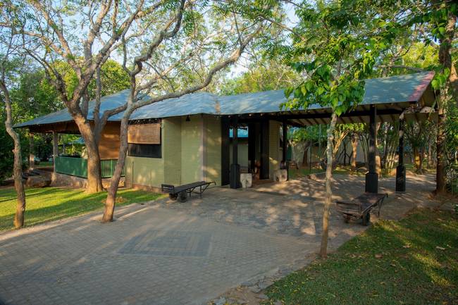 Елефант Рич Яла Джунктион