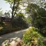 Горящие туры в отель Tree of Life Nature Resort - 3