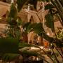Горящие туры в отель Riad Villa Blanche - 1