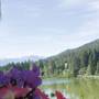 Горящие туры в отель Seespitz Hotel - 1