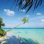 Горящие туры в отель Diamonds Athuruga Beach & Water Villas - 6