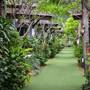 Горящие туры в отель Phangan Bayshore Resort - 6