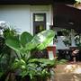 Горящие туры в отель Phangan Bayshore Resort - 1