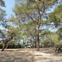 Горящие туры в отель Gold Sand Incekum Natural Park Apt - 5
