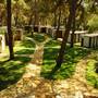 Горящие туры в отель Gold Sand Incekum Natural Park Apt - 2