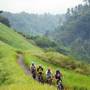 Горящие туры в отель Ubud Green - 5