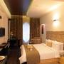 Горящие туры в отель BluPetal - A Business Hotel - 6
