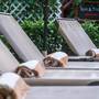 Горящие туры в отель Aventura Mexicana Hotel, Playa del Carmen - 5