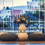 Горящие туры в отель Paradis Plage Surf Yoga & Spa - 2