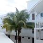 Горящие туры в отель Terracaribe Hotel, Cancun - 4
