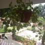 Горящие туры в отель Jay Mahal Palace Hotel - 3