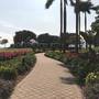 Горящие туры в отель Disney's Hollywood Hotel - 4