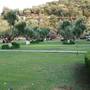 Горящие туры в отель Belle Helene Hotel - 5